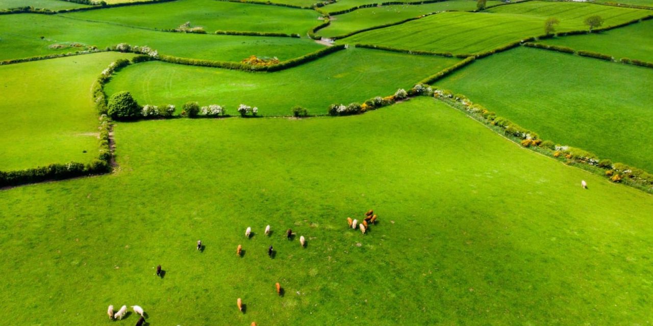 Europe moves forward on carbon farming with Ireland’s national framework as key model
