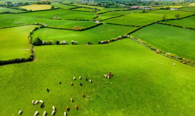 Europe moves forward on carbon farming with Ireland’s national framework as key model