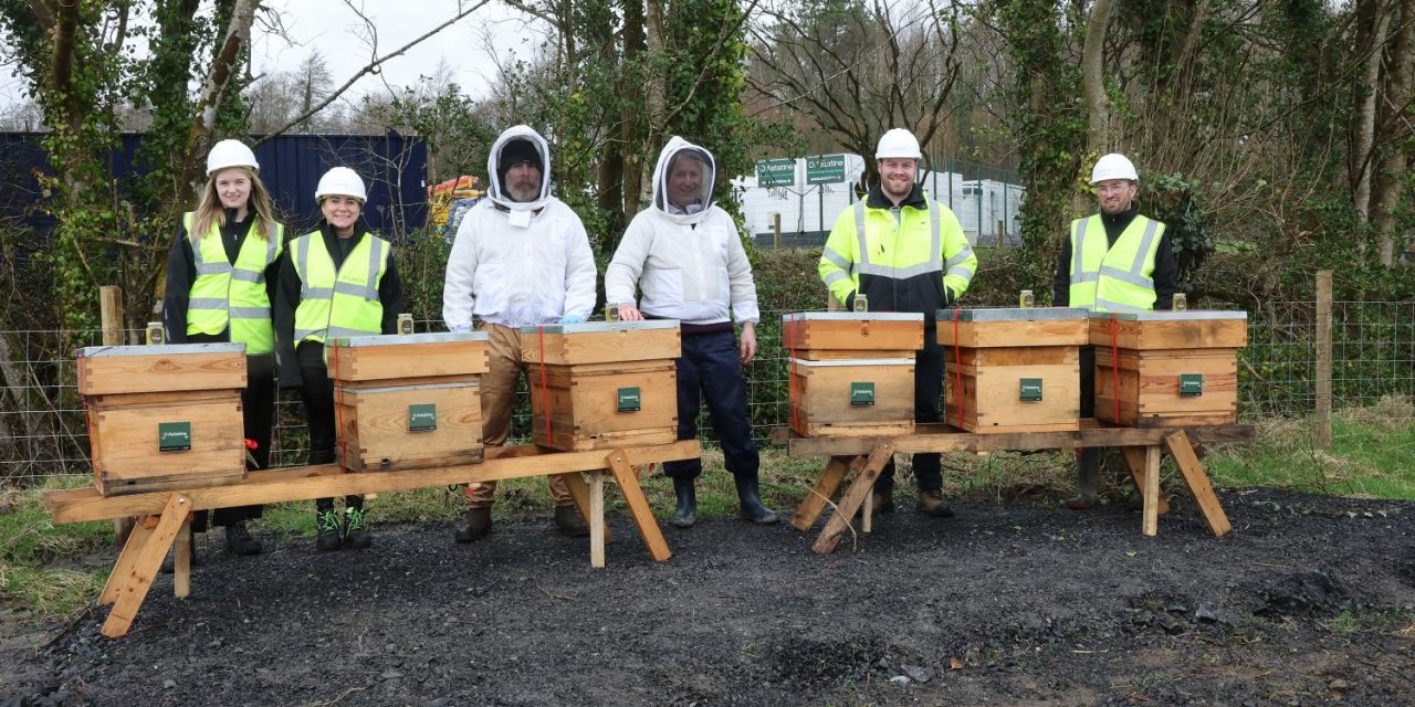 Astatine welcomes roll out of beehives in new biodiversity drive at large solar farm installations