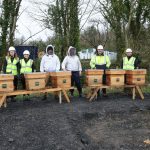 Astatine welcomes roll out of beehives in new biodiversity drive at large solar farm installations