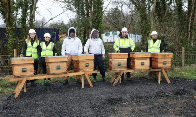 Astatine welcomes roll out of beehives in new biodiversity drive at large solar farm installations