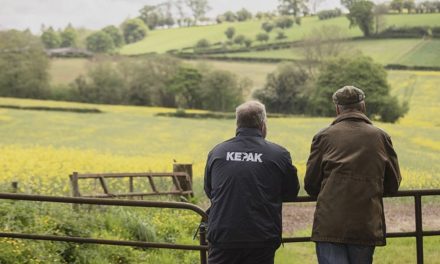 Irish family-owned food company invests in major digital overhaul