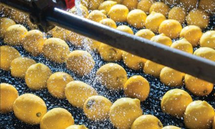 Food and beverage manufacturers can unlock significant savings by leveraging collaboration potential