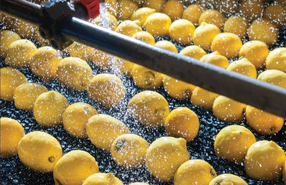 Food and beverage manufacturers can unlock significant savings by leveraging collaboration potential