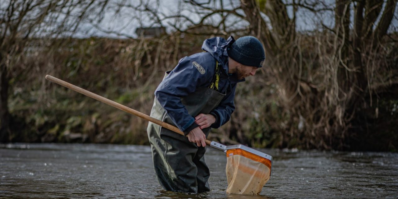 wienerberger UK & Ireland are joining forces with Chester Zoo to save some of the smallest but most vital species in the UK