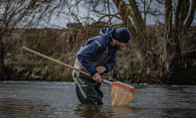 wienerberger UK & Ireland are joining forces with Chester Zoo to save some of the smallest but most vital species in the UK